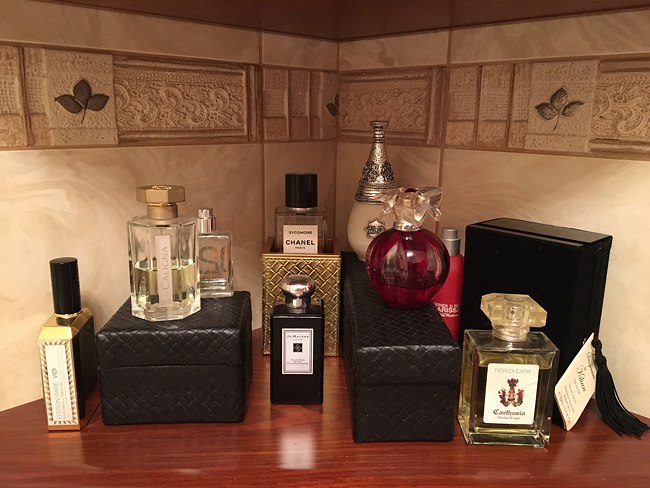 Ліна Сич – WORDS on BEAUTY